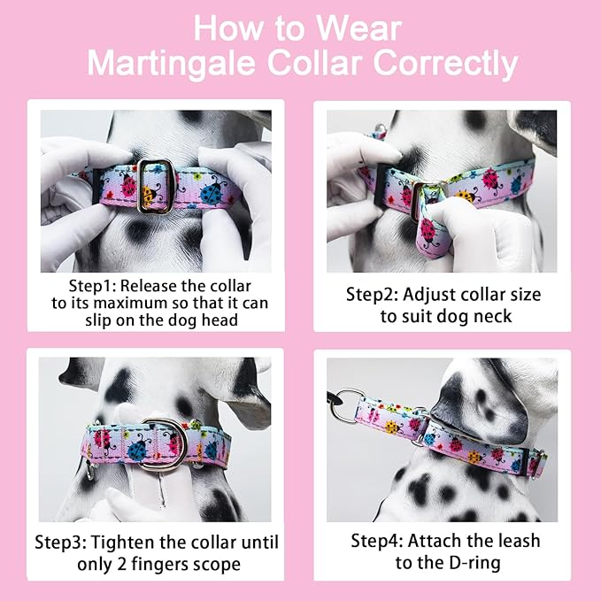 Reflective Martingale Collar for Dogs Nylon Training Collar with No Buckle, No Pull Adjustable Dog Collar for Medium Dogs（Gradient Ladybug，M）