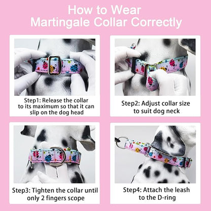 Reflective Martingale Collar for Dogs Nylon Training Collar with No Buckle, No Pull Adjustable Dog Collar for Small Dogs（Gradient Ladybug，S）