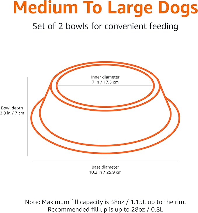 Amazon Basics Stainless Steel Non-Skid Dog Water And Food Bowls, Dishwasher Safe, Rust Resistant, 38oz Capacity, 10 x 2.8 Inches, 2-Pack