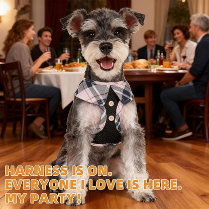 KOOLTAIL Small Dog Harness and Leash Set, Cute Puppy Harness, Step in No Pull Soft Mesh Pet Vest Harness Collar for Small Size Dogs Cats Boy Girl, Plaid Dog Halters for Outdoor Walking, Beige XS