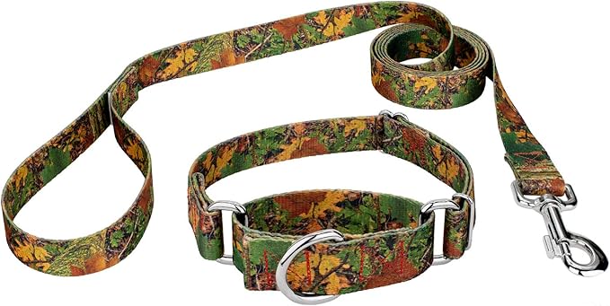 Country Brook Petz - Southern Forest Camo Martingale Dog Collar and Leash - Camouflage Collection Featuring Rugged Designs (1/2 Inch, 2XS)