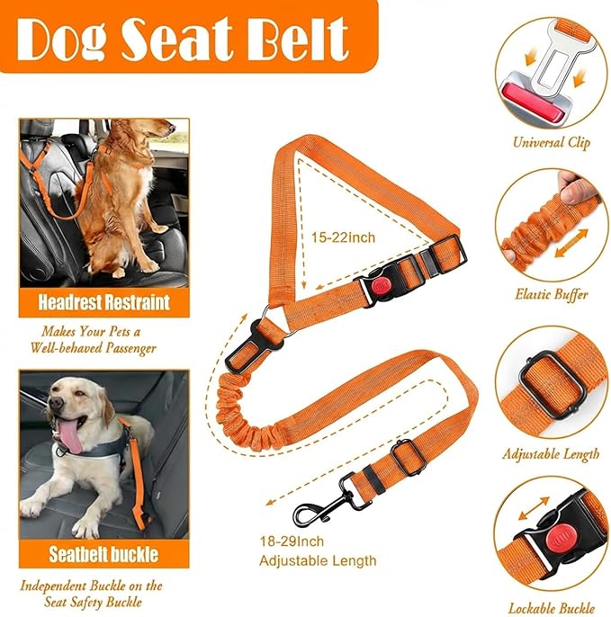 No Pull Dog Harness, Collar & Leash Set | Includes Dog Seat Belt, Collapsible Bowls & Poop Bag Dispenser. Ideal for Training, Walking, Hiking. Fits Small to Large Dogs(Orange-L)