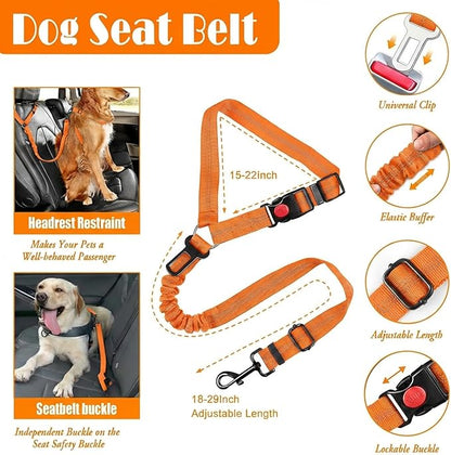 No Pull Dog Harness, Collar & Leash Set | Includes Dog Seat Belt, Collapsible Bowls & Poop Bag Dispenser. Ideal for Training, Walking, Hiking. Fits Small to Large Dogs(Orange-XL)
