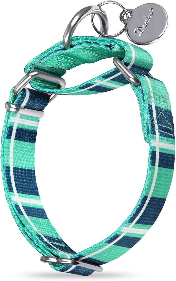 Martingale Collar Dog Collar No Pull Pet Collar Heavy Duty Dog Martingale Collars Silky Soft with Unique Pattern for Medium and Large Dogs (Medium, 1 Inch Wide, Teal Plaid)