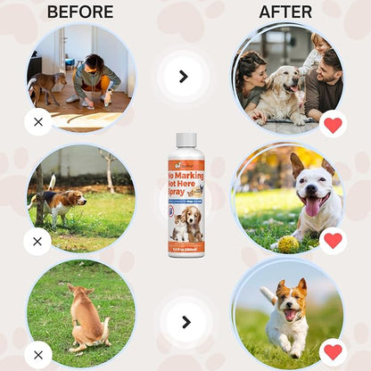 8oz No More Peeing in the House, Pee Spray for Dogs Indoor & Outdoor, Stop Dog Urinating with Dog Stay Away Spray, Don't Pee Here Dogs Training Spray