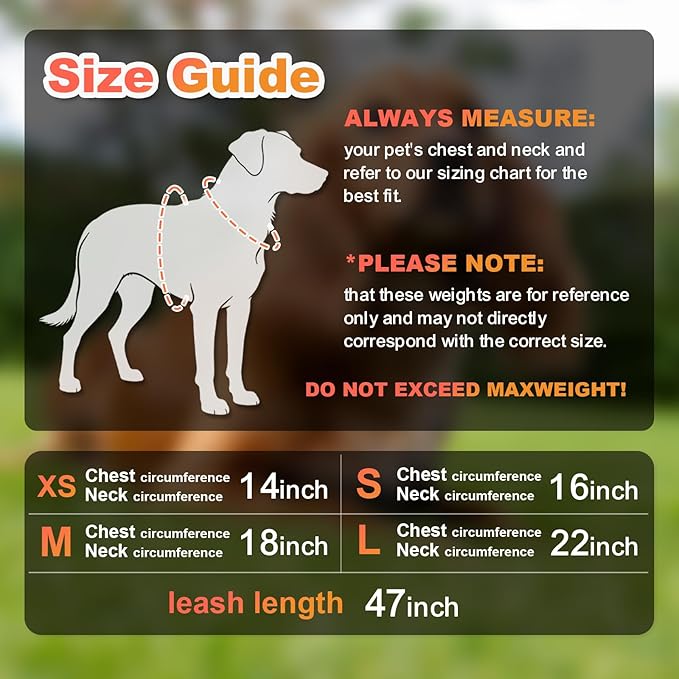 Dog Harness Medium Sized Dogs, Puppy Harness and Leash Set for Training, Running, Walking, Suitable for Small and Medium Dog Vest, Orange, S
