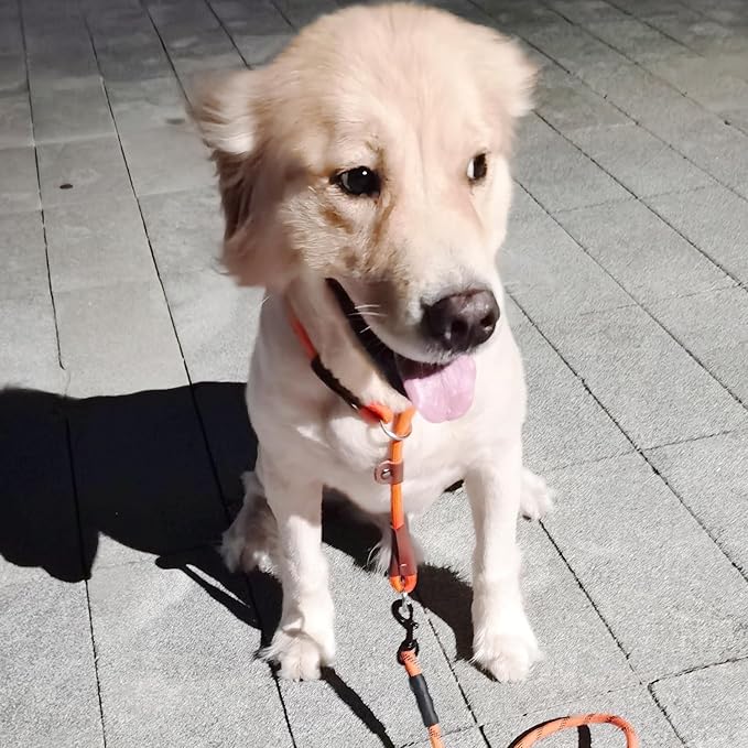 MayPaw Slip Collar Nylon Rope Adjustable Collar for Dog Training- No Pull Round Martingale Dog Collars for Small Medium Large Dogs (24" x 1/2", Orange)