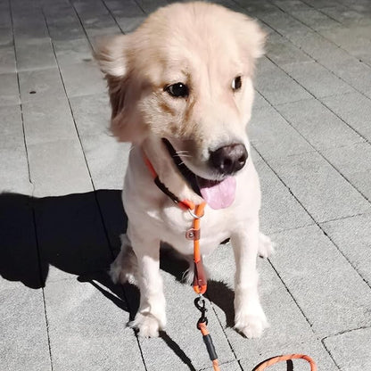 MayPaw Slip Collar Nylon Rope Adjustable Collar for Dog Training- No Pull Round Martingale Dog Collars for Small Medium Large Dogs (24" x 1/2", Orange)
