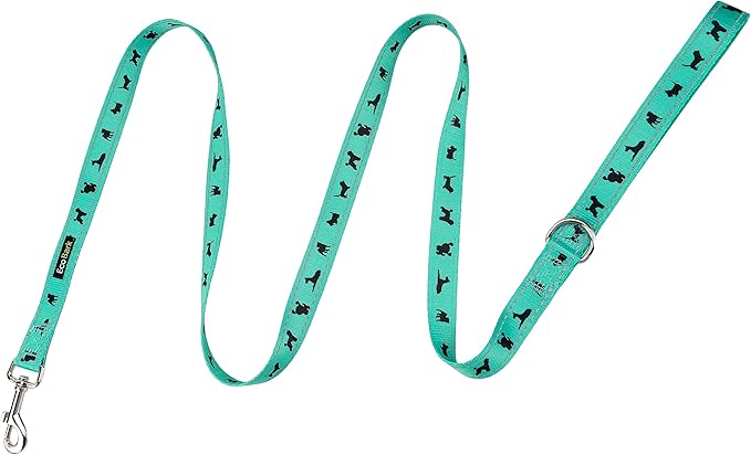EcoBark Dog Leash - Soft & Reflective Comfort Leashes with Padded Handle - Strong & Durable for Small, Medium or Large Dogs (Turquoise)