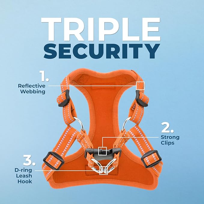 Best Pet Supplies Voyager Adjustable Step-in Flex Breathable Mesh Dog Harness for Small Medium Large Dogs Leash Set (Orange), S