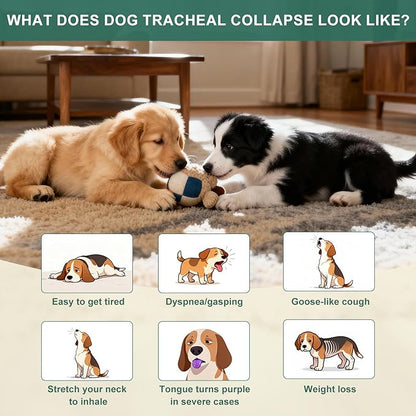 Trachea Cough Elixir for Dogs, Collapsed Trachea Support & Dry Honking Cough Relief, Herbal Airway Comfort Drops for Small Breeds, Helps Promote Smooth Breathing, Easy-to-Administer Liquid - 59 mL