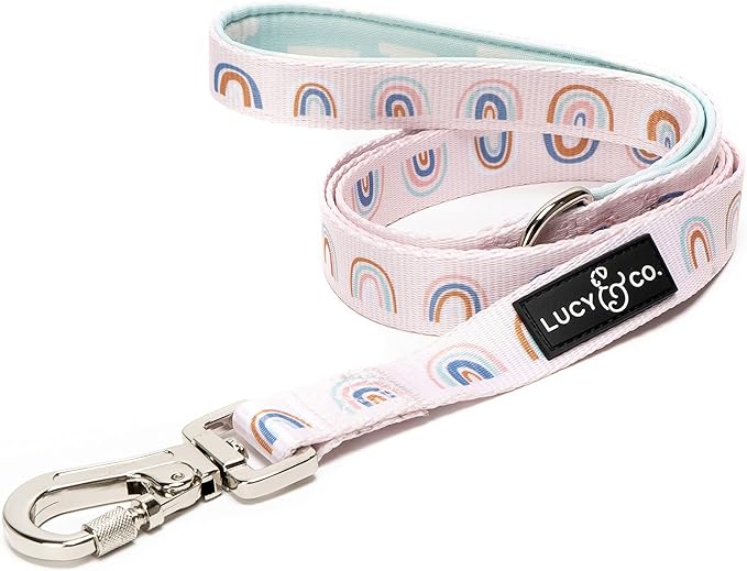 Lucy & Co. 5 Foot Designer Dog Leash - Best for Big, Small, or Medium Dogs - Puppy Leash - Cloud, Large