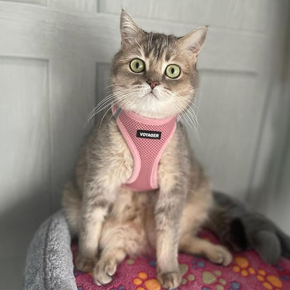 Best Pet Supplies Voyager Step-in Air Harness - All Weather Mesh, Reflective, No Pull Harness for Dogs, Cats - Secure with Hook & Loop Fastener, Buckle, Double D-Rings - Pink, XXS