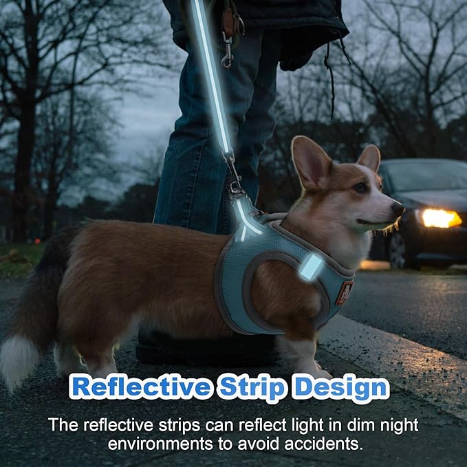 Dog Harness Medium Sized Dogs, Puppy Harness and Leash Set for Training, Running, Walking, Suitable for Small and Medium Dog Vest, Blue, XS