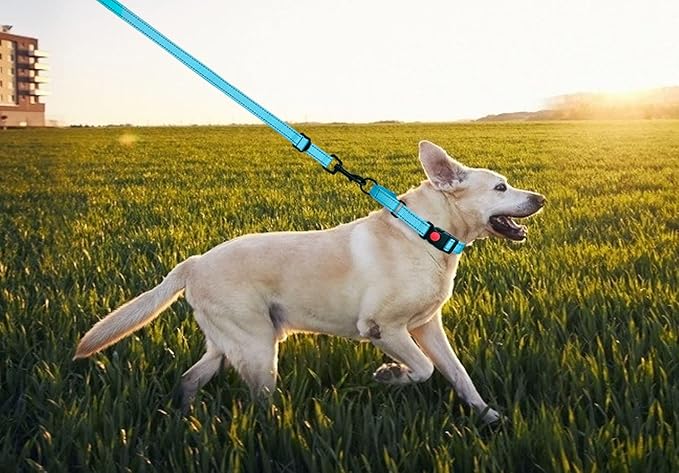 Martingale Dog Collar and Leash Set Martingale Collars for Dogs Reflective Martingale Collar for Small Medium Large Dogs(Sky Blue&L)