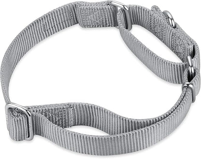 Hyhug Martingale Collar for Dogs Small Gray |Escape - Proof Heavy Duty Nylon Durable No Buckle, Ideal for Training & Daily Walks