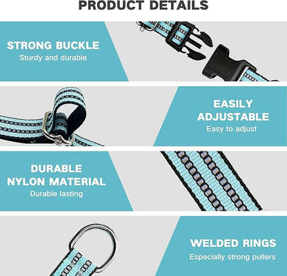 Hikiko Martingale Dog Collars Reflective Nylon Dog Collar with Quick Release Buckle Adjustable Training No Slip Dog Collar (Large, Sky Blue)