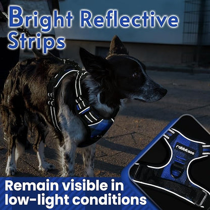 rabbitgoo Dog Harness No Pull with 2 Leash Clips, Adjustable Soft Padded, Reflective Oxford No Choke Pet Vest with Easy Control Handle for Medium Sized Dogs, Blue Plaid, M