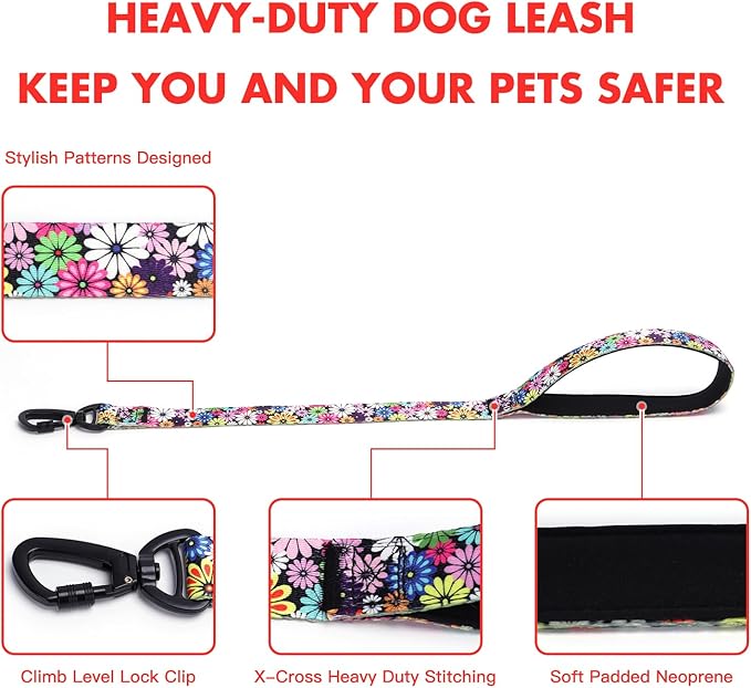 Martingale Dog Collar with Stainless Steel Chain - Limited Chain Cinch Training Collar for No Pull Training Dog - Flower Multicolor Cute Patterns - Premium No Slip Collar (L, Skull Set)