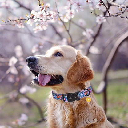 ARING PET Floral Dog Collar, Cute Blue Pink Orange Spring Summer Flower Doggy Pet Collars for Puppy Small Medium Large Girl Female Dogs-M