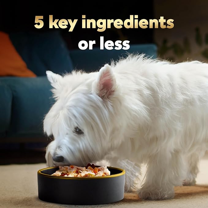 Cesar Simply Crafted Wet Dog Food Toppers for Dry Food, Chicken, Carrots & Green Beans and Beef, Chicken, Purple Potatoes, Peas & Carrots Meal Topper, 1.3 oz. Tub, 16 Count