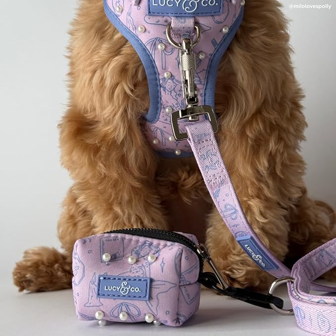 Lucy & Co. Magnificent Mermaid Pearl Dog Leash, Durable Matching Dog Lead with Heavy Duty Hardware, Small
