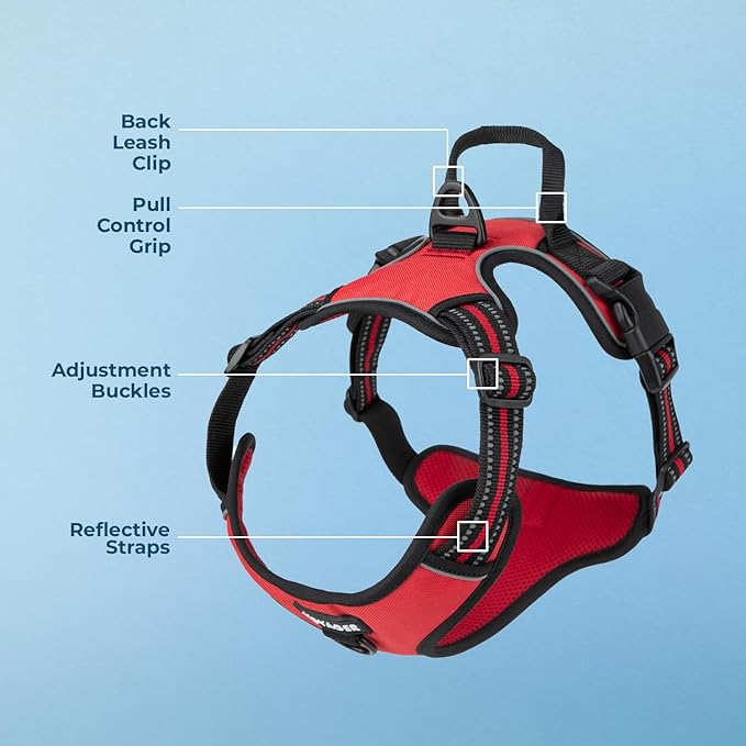 Voyager Dog Harness Dual Leash Attachment No-Pull Control Adjustable Soft but Strong Pet Harness for Medium and Large Dogs with 3M Reflective Technology, Red Lattice Nylon, L (Chest: 25-30")