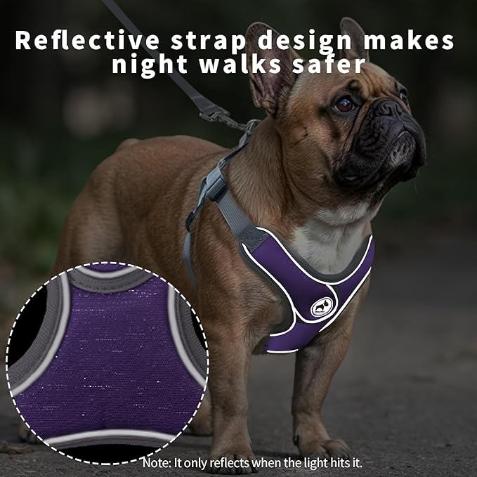 Dog Harness with Leash Set, Adjustable Step in Collars Harness with Breathable Padded Vest for Medium Dogs Training and Running (M, Purple)