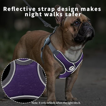 Dog Harness with Leash Set, Puppy Harnesses with Breathable Padded for Small Dogs Walking Escape Proof (XS, Purple)