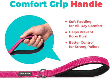 Best Pet Supplies Voyager Reflective Dog Leash or Collar with Neoprene Handle, for Small, Medium, and Large Breed Puppies, Cute and Heavy Duty for Walking, Running and Training - Fuchsia (Leash), L