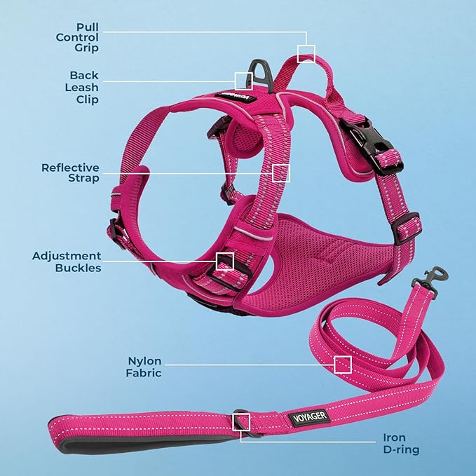 Voyager Dog Harness Dual Leash Attachment No-Pull Control Adjustable Soft but Strong Pet Harness for Medium and Large Dogs with 3M Reflective Technology, Leash Set Fuchsia Nylon, M (Chest: 20-25")