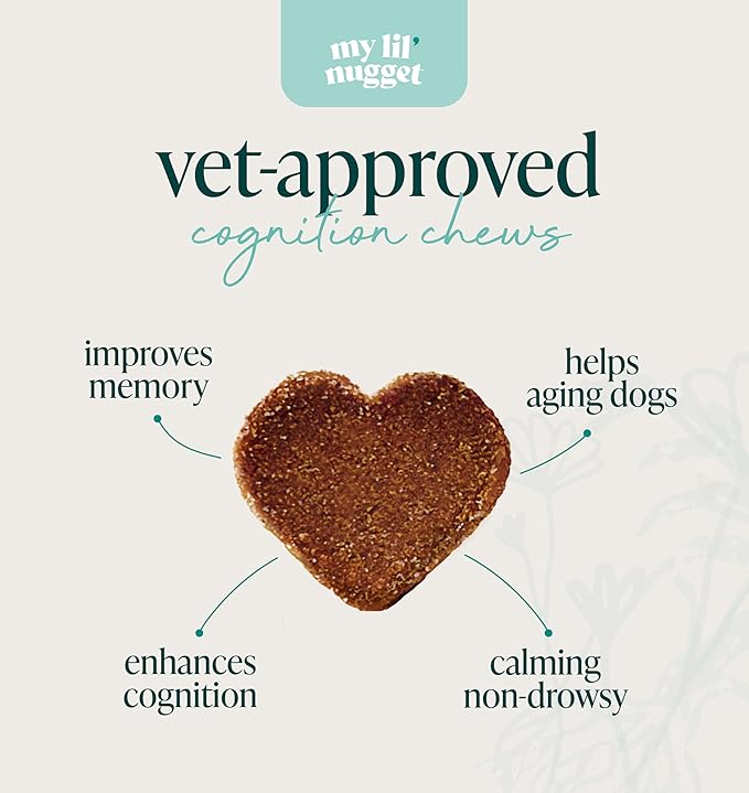 My Lil’ Nugget - Vet-Approved Mood & Cognition Chews for Dogs | All-Natural Dog Mental Health Support & Improve Memory | Lion’s Mane & Ashwagandha | Helps Puppy to Senior Dogs | 90 Salmon Flavor Chews