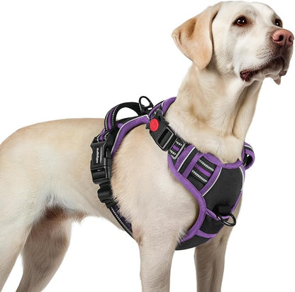 rabbitgoo Dog Harness for Large, No Pull Pet Harness with 3 Buckles, Adjustable Soft Padded Vest with Control Handle, Walking Reflective Pet Vest for Large Dogs, Black & Purple, L