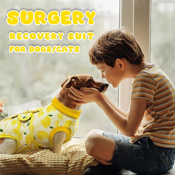 Dog Surgery Recovery Suit, Abdominal Surgical Suit for Male Female Dog Post Spay Neuter, Breathable Pet Onesie E-Collar & Cone Alternative, Surgery Shirt to Prevent Licking, Yellow, X-Small