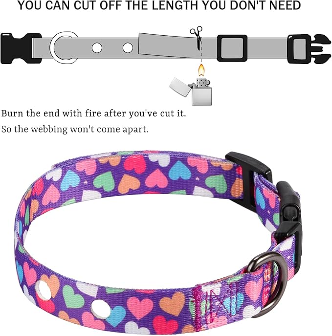 Rhea Rose 1 Inch Replacement Collar Strap Shock Collar with 2 Holes, Compatible with Nearly All Brands and Models of Underground Electric Dog Fences and Training Collars, Heart Print Pattern