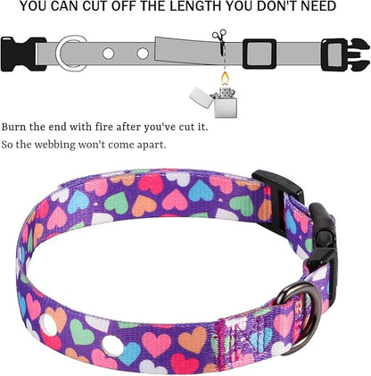 Rhea Rose 1 Inch Replacement Collar Strap Shock Collar with 2 Holes, Compatible with Nearly All Brands and Models of Underground Electric Dog Fences and Training Collars, Heart Print Pattern