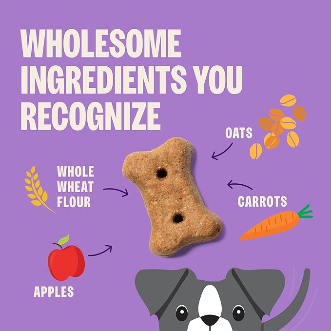 Wellness Old Mother Hubbard Hip & Joint Dog Biscuits, Natural Training Treats, Chicken, Apple, Oats, and Carrot Flavor, Mini Size, 20 oz Bag