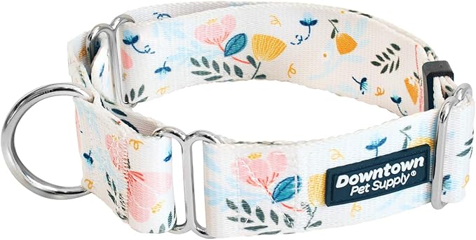 Downtown Pet Supply - Martingale Collar for Dogs - Dog Training Collar - Big, Wide & Thick Dog Collar - Escape-Proof, Weatherproof, Durable and Comfortable - Floral - Medium Dog Collar