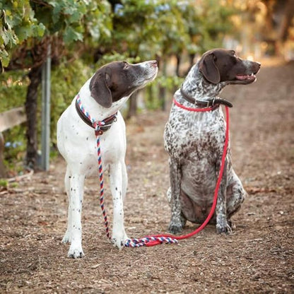 Cesar Millan Slip Lead Leash | Dog Leash | in Training Leash | (Regular, Red/Olive)