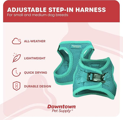 Downtown Pet Supply Step in Dog Harness for Small Dogs No Pull, X-Small, Bermuda Blue - Adjustable Harness with Padded Mesh Fabric and Reflective Trim - Buckle Strap Harness for Dogs