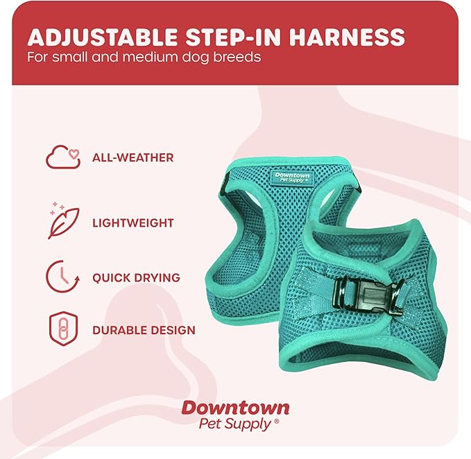 Downtown Pet Supply Step in Dog Harness for Teacup Dogs & Cats No Pull, XX-Small, Bermuda Blue - Adjustable Harness with Padded Mesh Fabric and Reflective Trim - Buckle Strap Harness for Dogs
