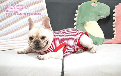 Dog Red Recovery Suit for Large Female Spay,Male Dog Surgery Suit,Narrow Red-White L