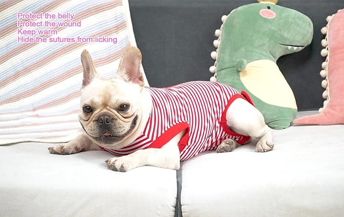 Dog Red Recovery Suit for X-Small Female Spay,Male Dog Surgery Suit,Narrow Red-White XS