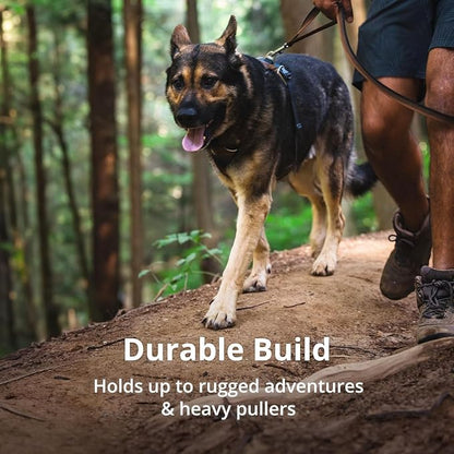 Ruffwear, Front Range Dog Harness, Reflective Soft Padded Everyday Harness with Dual Leash Clips, Adjustable and Lightweight Fit for Training or Walking for All Dogs, Basalt Gray, XX-Small