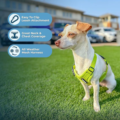 Best Pet Supplies Voyager Step-in Air All Weather Mesh Harness and Reflective Dog 5ft Leash Combo with Neoprene Handle, for Small, Medium and Large Breed Puppies - Set (Lime Green), X-Small