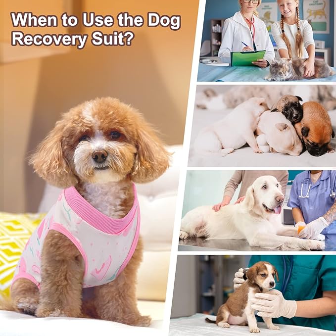 SAWMONG 2 Pack Recovery Suit for Dogs After Surgery, Dog Recovery Suit Soft Polyester, Pet Spay Surgical Suit Female Male, Dog Onesie Body Suit Substitute E-Collar Cone(Strawberry+ Peach,XXL)