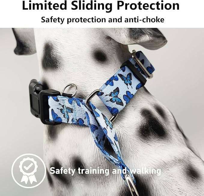 Martingale Collar for Dogs with Buckle Nylon Slip No Pull Training Dog Collars (Blue Butterfly, XSmall)