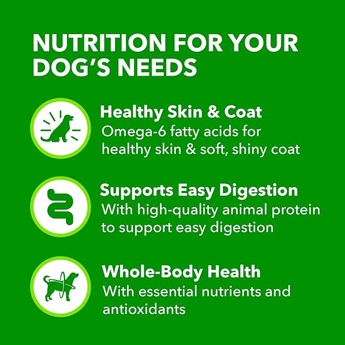IAMS Proactive Health Wet Dog Food, Adult Wet Dog Food Multipack Ground Dinner, Lamb & Rice, 13 oz. Cans (Pack of 12)