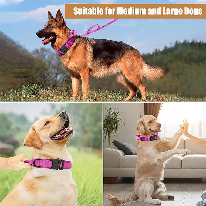 Tactical Dog Collar Leash Set, Adjustable Military Training Nylon Collar Dog Training with Control Handleand Metal Buckle, Dog Collar for Medium Large Dogs (Pink,L)