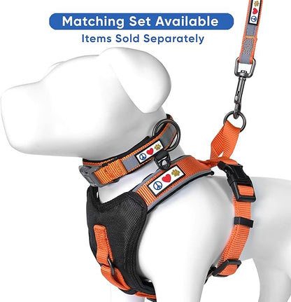 Pawtitas Lumberjack Padded Martingale Collar for Dogs | Soft Neoprene Dog Collar for Your pet's Comfort Made with Reflective Band for Maximum Visibility | Fits Small and Large Pets - Medium Orange